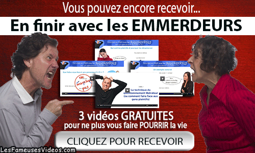 EN FINIR AVEC LES EMMERDEURS