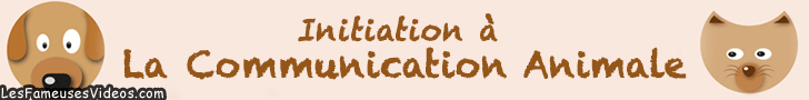 INITIATION A LA COMMUNICATION ANIMALE