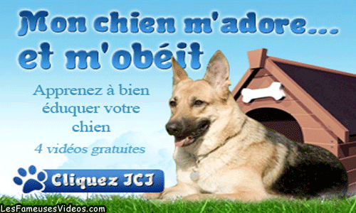 MON CHIEN M'ADORE... ET M'OBEIT